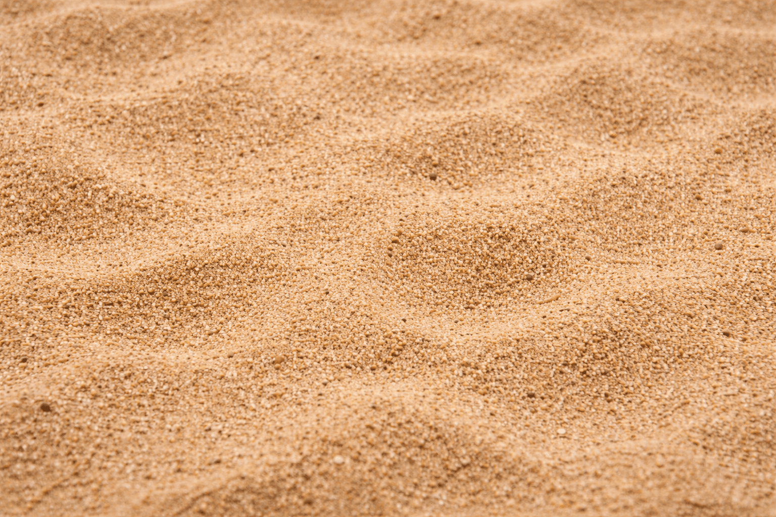 אדמת חול לגינה