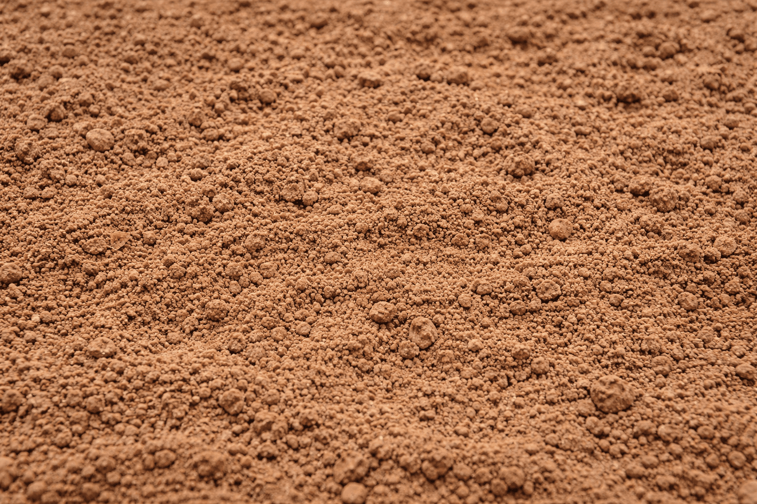 אדמת טין לגינה