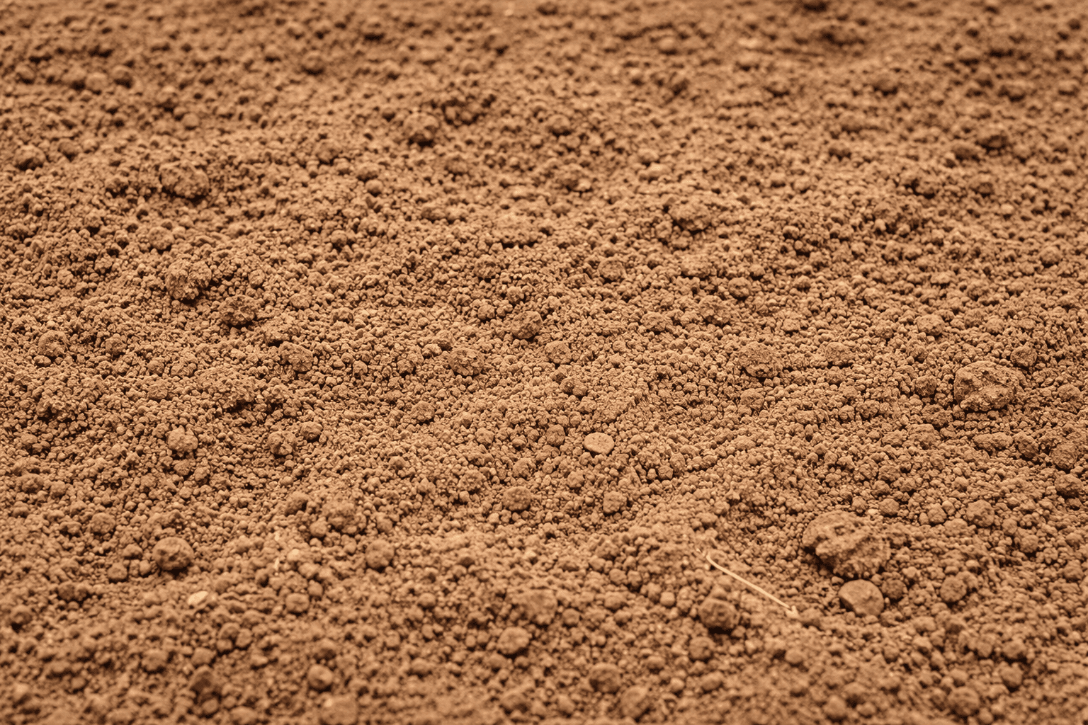 אדמת סחף לגינה