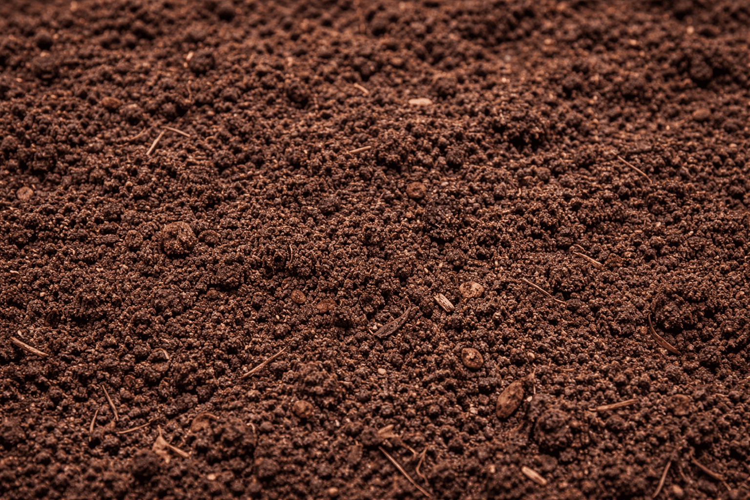 אדמה פוריה לגינה